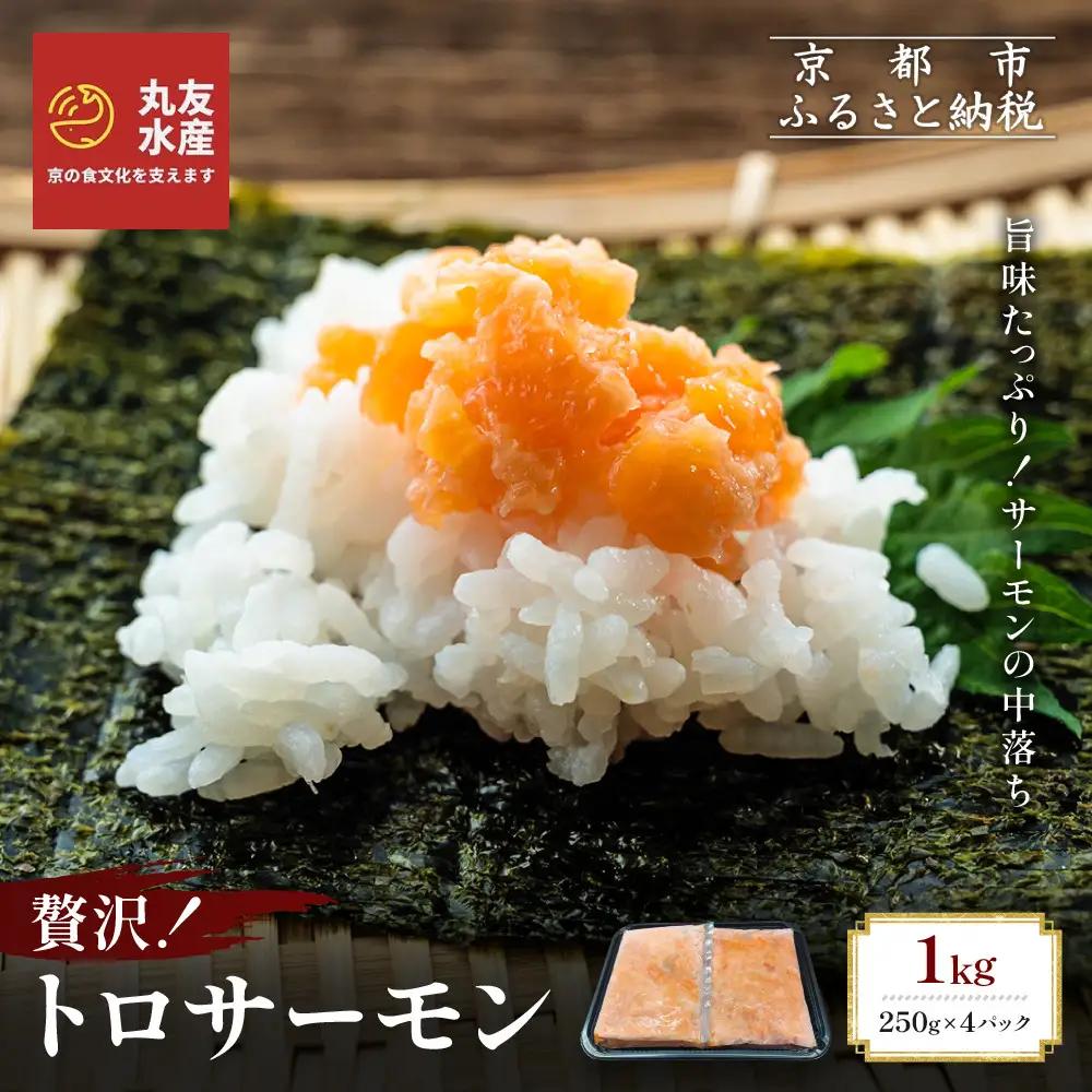 トロサーモン 1kg 250g×4パック ノルウェー産 サーモン