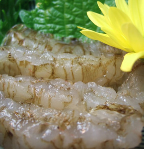 シロエビ刺身100g・シロエビ昆布締め80gセット