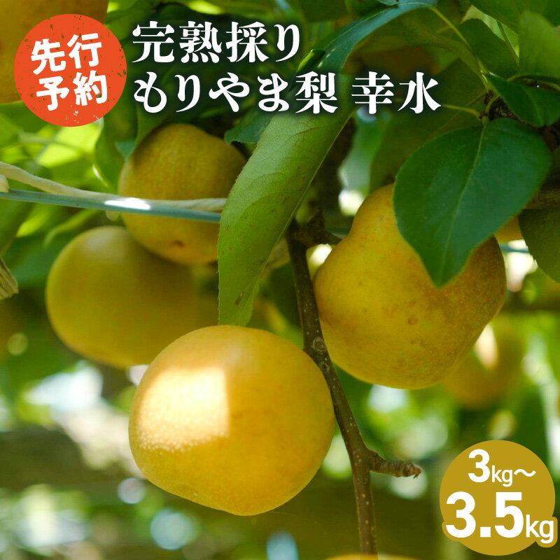 【ふるさと納税】先行予約 完熟採り 梨 幸水 3キロ～3.5キロ もりやま梨 生産農家直送 旬 果物 フルーツ お取り寄せ お取り寄せフルーツ 冷蔵 国産 送料無料 食品 滋賀県 守山市