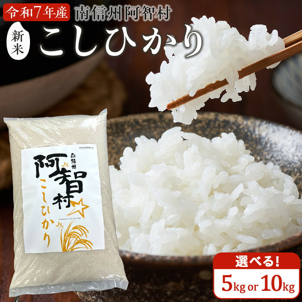 【ふるさと納税】【容量選択可能 5kg/10kg】 米 こしひかり 10kg 定期便 | コメ お米 新米 令和7年 白米 精米 長野 南信州 ふるさと納税 コシヒカリ 阿智村 人気 おすすめ 送料無料 お取り寄せ ふるさと納税 米 ふるさと 長野
