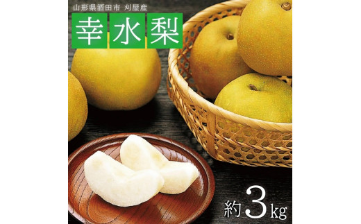 酒田の果物専門店厳選　刈屋産 幸水梨　約3kg(7～9玉入) SA2926