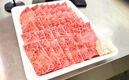 特選焼肉セット 500g しまね和牛 島根県松江市/有限会社神戸屋[ALGF003]