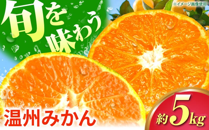 
            【先行予約】 温州みかん 5kg 極早生 早生 中生 晩生 みかん 【池田農園】 [ZEX004]
          