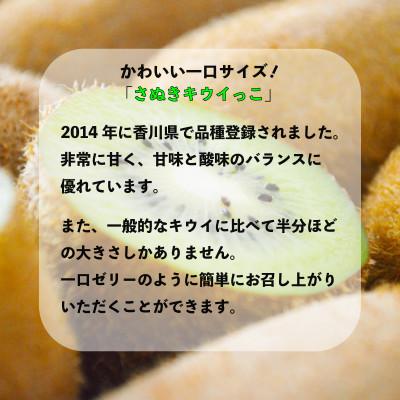 ふるさと納税 丸亀市 先行受付 さぬきキウイっこ 約2kg キウイフルーツ 香川県産 丸亀市 発送11月上旬から |  | 01