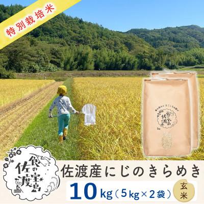 ふるさと納税 佐渡市 【新米予約】佐渡島産にじのきらめき 玄米10Kg(5Kg×2袋) 令和7年 特別栽培米 農家直送