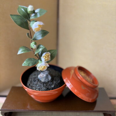 【ふるさと納税】【茶の花】四季を彩る創作草もの盆栽(工芸品)～工房椿【配送不可地域：離島・北海道・沖縄県】【1599129】