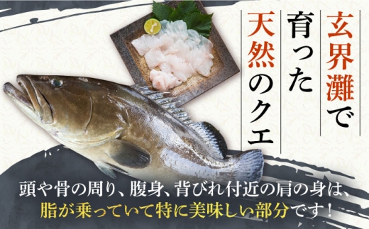 【2027年2月配送】天然 クエ鍋セット（2～3人前）《壱岐市》【一支國屋】 [JCC010] クエ くえ クエ鍋 くえ鍋 海鮮 魚介 鍋 アラ アラ鍋 