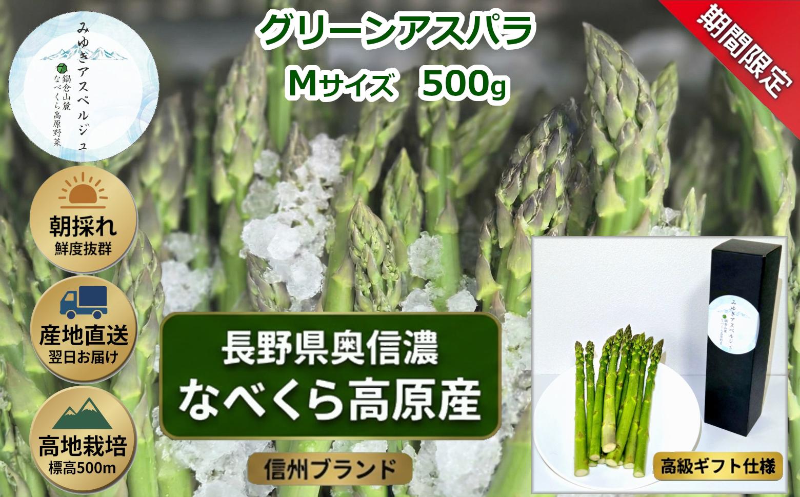 
                  【期間限定】アスパラガス みゆきアスペルジュ Mサイズ 500g入り(17〜20本)《出荷時期：2026年4月下旬〜》株式会社ForestDoor｜長野県 飯山市 信州 新鮮 直送 独自栽培 甘さ 高級 ギフト  (Ce-001)
                