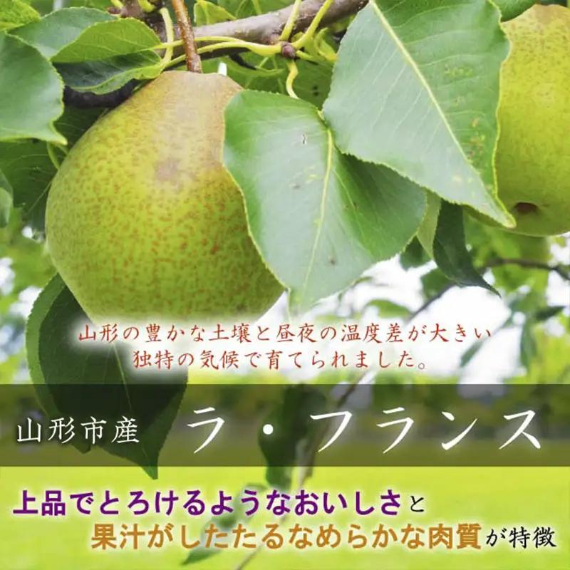 山形市産【高糖度ラフランス】特秀品 3kg (6～10玉) 極上フルーツ  洋梨 山形【令和8年産先行予約】FS24-821