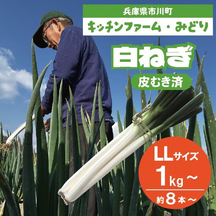 
                  【選べる量】キッチンファームみどりの白ねぎ  LLサイズ 1kg ～（皮むき済み） 006KM01N.／ねぎ ネギ 葱 白ネギ 白ねぎ 国産 日本産 野菜 冬季限定 甘い 太い すき焼き 天ぷら 焼きねぎ 鍋料理
                