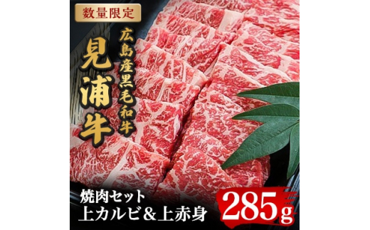 
広島産黒毛和牛　「見浦牛」の焼肉セット(285g)【1006853】
