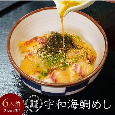 ふるさと納税 松山市 愛媛県産 宇和海鯛めし2人前×3パック(6人前)