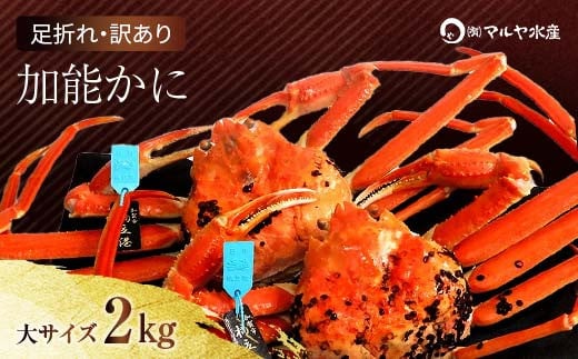 
            【時期が選べる】【先行予約】【冷蔵発送】石川県産 加能かに ズワイガニ ( 産地証明タグ付 ) 訳あり 足折れ 大サイズ 2～3匹 合計2.0kg 産地証明 訳あり 家庭用 自宅用 足折れ 先行予約 予約 ブランド蟹 ボイル 茹で 蟹 かに 復興 震災 コロナ 能登半島地震復興支援 北陸新幹線 F6P-0693 クラウドファンディング 実施中 GCF
          