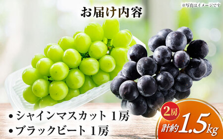 シャインマスカット＆ブラックビート 2房（約1.5kg） 長与/JAじげもん長与直売所[EAF007]