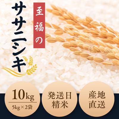 ふるさと納税 新庄市 新米 令和8年産 至福のササニシキ5kg×2袋 (10kg)