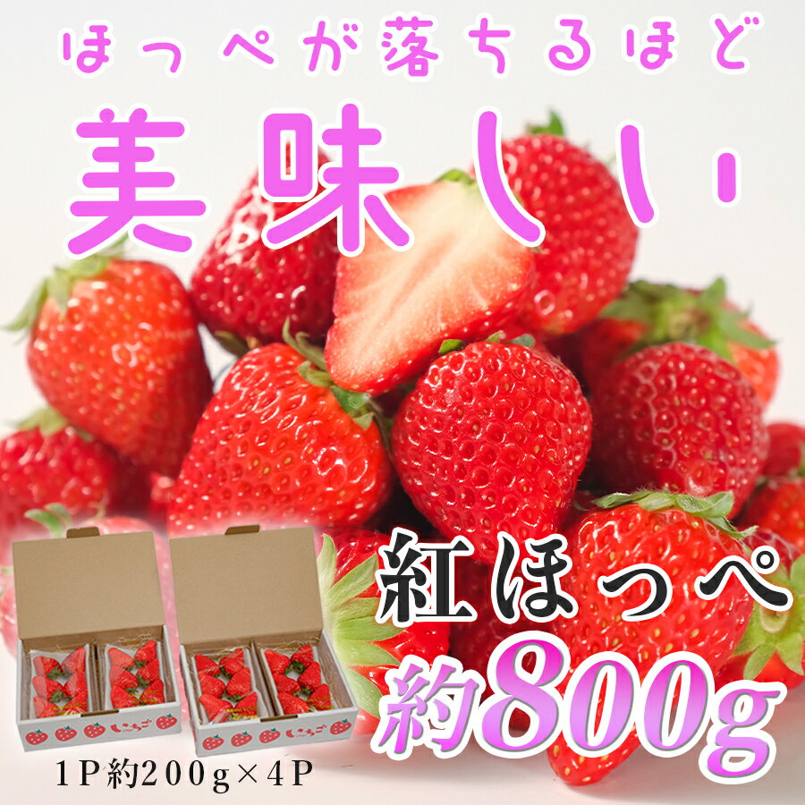 【ふるさと納税】【高知県 大月町産】紅ほっぺ　約200g×4パック｜いちご 800g 果物 フルーツ 苺 イチゴ くだもの 野菜 旬 美味しい 朝採り 新鮮 期間限定 ご褒美 産地直送 贈答用 自宅用 高知県 大月町 国産 ハウス栽培 甘いいちご 甘い苺