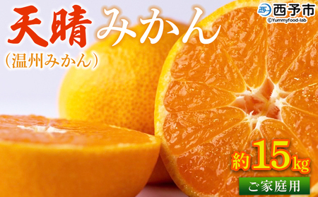 ＜愛媛県明浜産 天晴みかん（温州みかん）約15kg＞ 訳あり 柑橘 果物 フルーツ オレンジ 株式会社笑丸 ニコマル 期間限定 季節限定 食べて応援 特産品 温州みかん 家庭用 のし対応可 愛媛県 西予市【常温】『2025年11月中旬～2026年1月上旬迄に順次出荷予定』AAN0027
