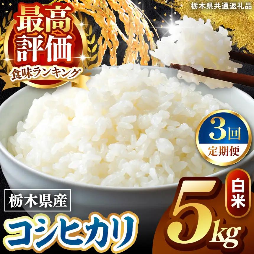 令和8年度産 先行予約 【定期便3回】こしひかり 白米 約5kg