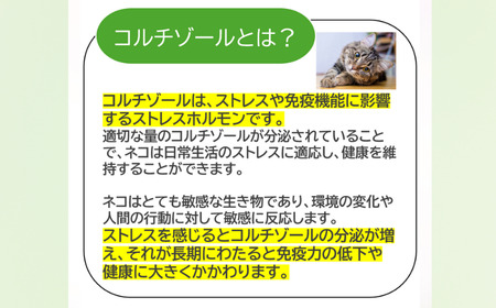 獣医師監修 ネコ体毛ホルモン量測定キット コルチゾール ネコの慢性ストレスチェック 簡単測定 検査キット