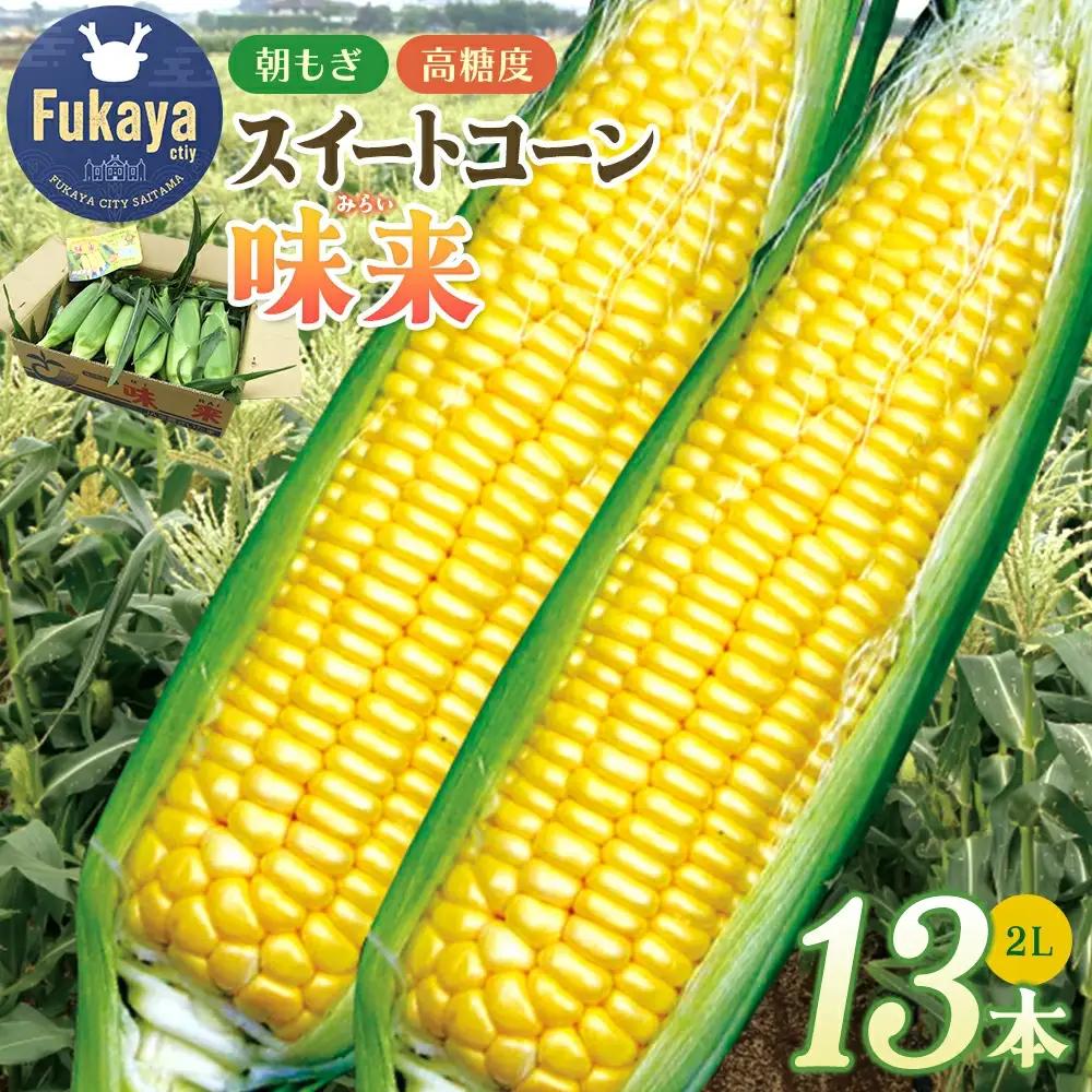 フルーツみたいなスイートコーン【味来（みらい）】13本　【11218-0140】