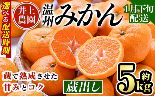 ＜1月下旬より順次発送予定＞大分県宇佐市産 蔵出し みかん(約5kg)ミカン 蜜柑 柑橘 フルーツ 果物 くだもの 果実 国産 熟成【103640200】【井上農園】