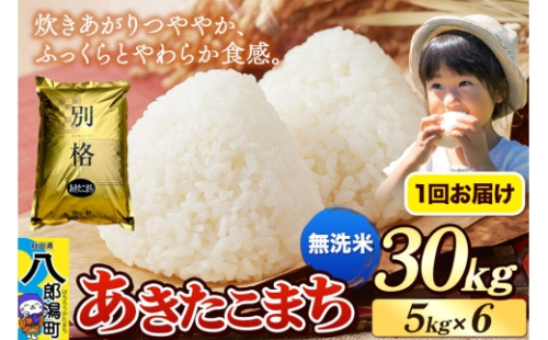 《令和8年産 新米》米 あきたこまち 30kg（5kg×6袋）【無洗米】秋田県産 [新米 米 コメ 無洗米 あきたこまち おいしい 美味しい 安全 自然の恵み]
