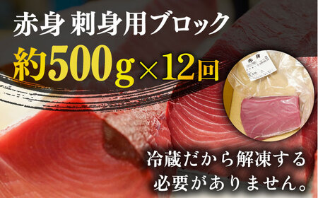 【全12回定期便】五島列島産養殖生本かみまぐろ 赤身 500g[RBP063] 本マグロ 本まぐろ 定期便 本マグロ 本まぐろ 定期便 本マグロ 本まぐろ 定期便九州 長崎