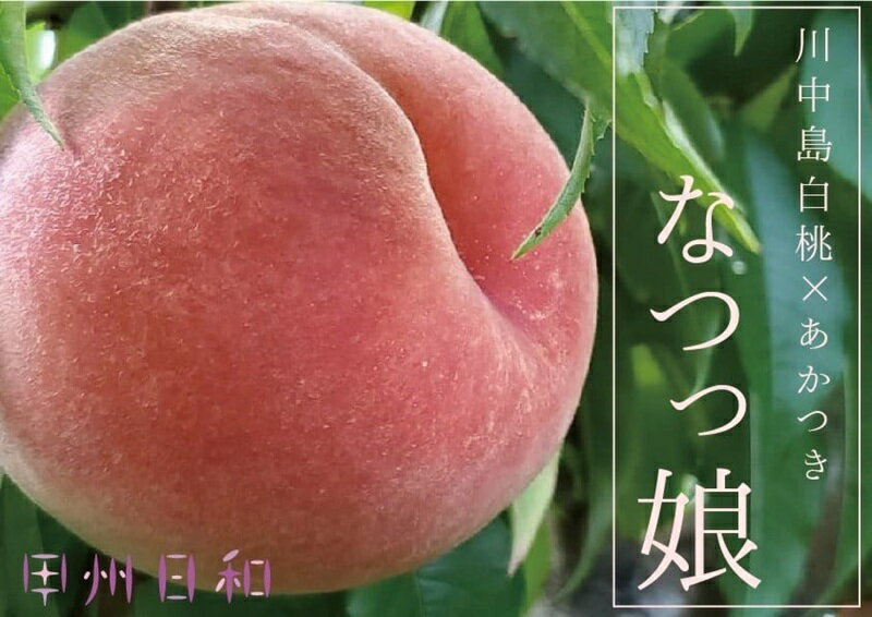 【ふるさと納税】 桃 なつっこ 約1.8kg 果物 もも フルーツ 白桃 朝採れ モモ 果実 2025年発送 期間限定 大玉 ジューシー 甘い ギフト 贈答 家庭用 7月 8月 発送 山梨 甲州市 （KSB） 【C-132】