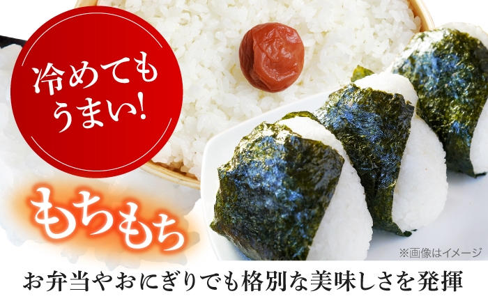 米 コメ こめ kome ブレンド米 白米 精米 おこめ お米 2kg 大阪