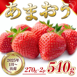 MZ056 福岡県産 あまおう 540g　先行予約 2025年1月～3月末にかけて順次発送予定