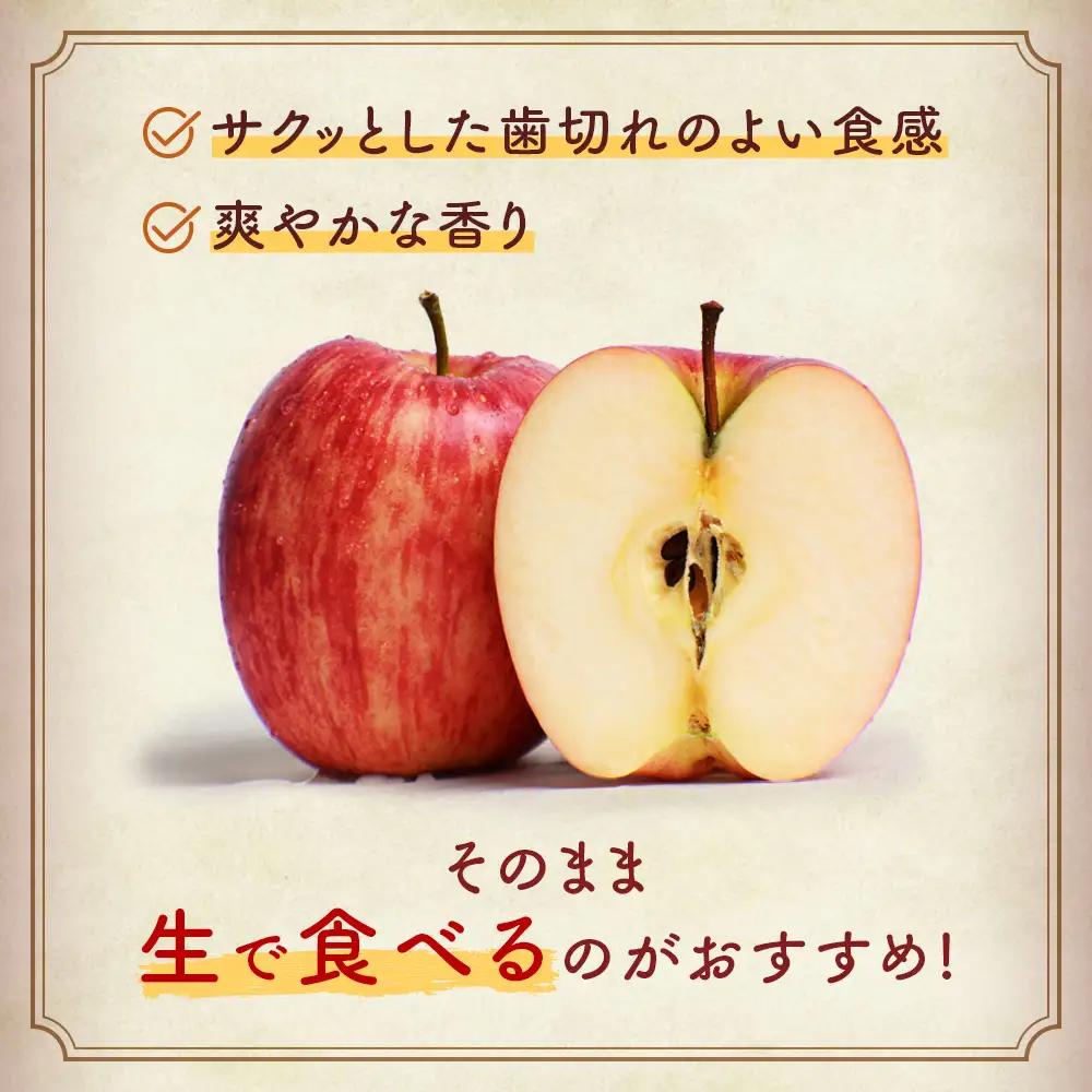 青森県産りんご シナノドルチェ 約5kg 10月上旬～ りんご