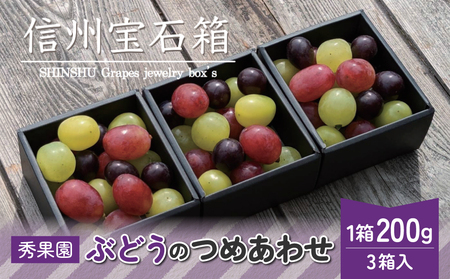 【先行受付2026年発送】信州宝石箱（ぶどうの詰め合わせ）｜ 秀果園 　※2026年9月上旬~10月下旬 順次発送