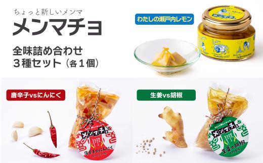 
ちょっと新しいメンマ「メンマチョ」全味詰め合わせセット（3種×各1個）
