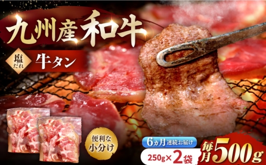 国産牛タン定期便【6回定期便】九州産和牛の牛タン約500g（約250g×2パック）国産 牛タン和牛長与町/岩永ホルモン [EAX086] 国産 牛肉 和牛 タン 牛タン 塩だれ牛タン 塩ダレ 牛たん塩 味付き ぎゅうたん ギュウタン 薄切り スライス 味付き 塩 焼肉 焼き肉 冷凍 焼くだけ 簡単調理 小分け 真空 定期便 ていきびん 定期 毎月 届く