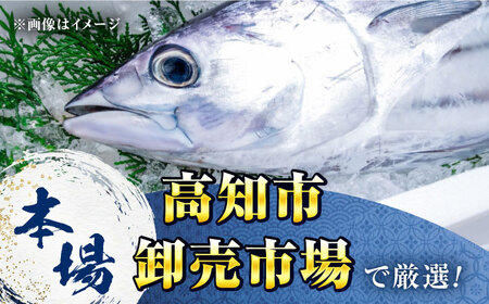 満腹！【大容量】かつおのたたき　約1.3kg～1.5kg