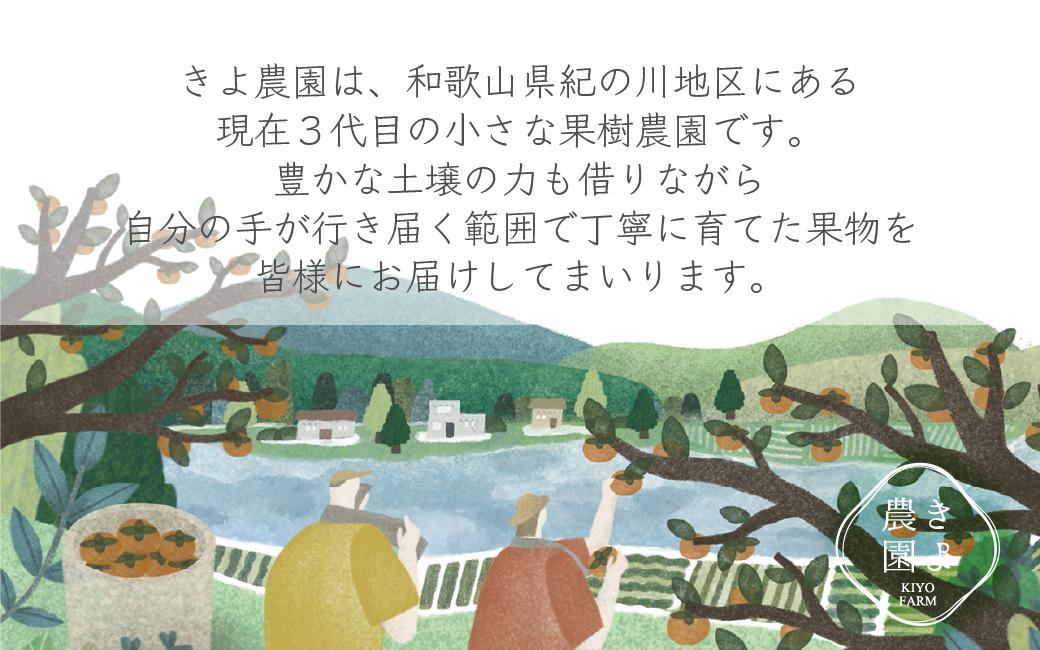 特大まりひめイチゴ 朝摘 6個～11個入×2パック【2025年1月中旬頃より発送】【先行予約】【KT3】