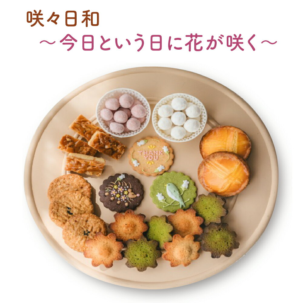 【ふるさと納税】咲々日和～今日という日に花が咲く～　【11100-1374】