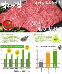 黒毛和牛オリーブ牛 もも焼肉用 約500ｇ×3_M18-0026