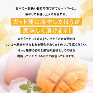 【令和8年発送】宮崎県産完熟マンゴー 三國農園完熟マンゴー2玉（約1kg）フルーツ マンゴー