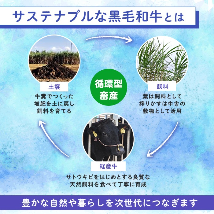 n375 種子島産黒毛和牛！梶屋牛冷凍生ハンバーグ(10個) 黒毛和牛 牛肉 国産 九州産 鹿児島県産 肉 ビーフ ハンバーグ 冷凍 小分け 簡単調理 天然飼料 サステナブル 和牛 お祝い 【株式会社