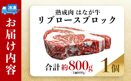 ＜熟成肉 はなが牛リブロースブロック約800g（800g×1個）＞ 牛肉 ステーキ 鉄板焼き 焼き肉 国産 塊肉 かたまり 霜降り しもふり バーベキュー BBQ キャンプ アウトドア 特産品 ゆうぼ