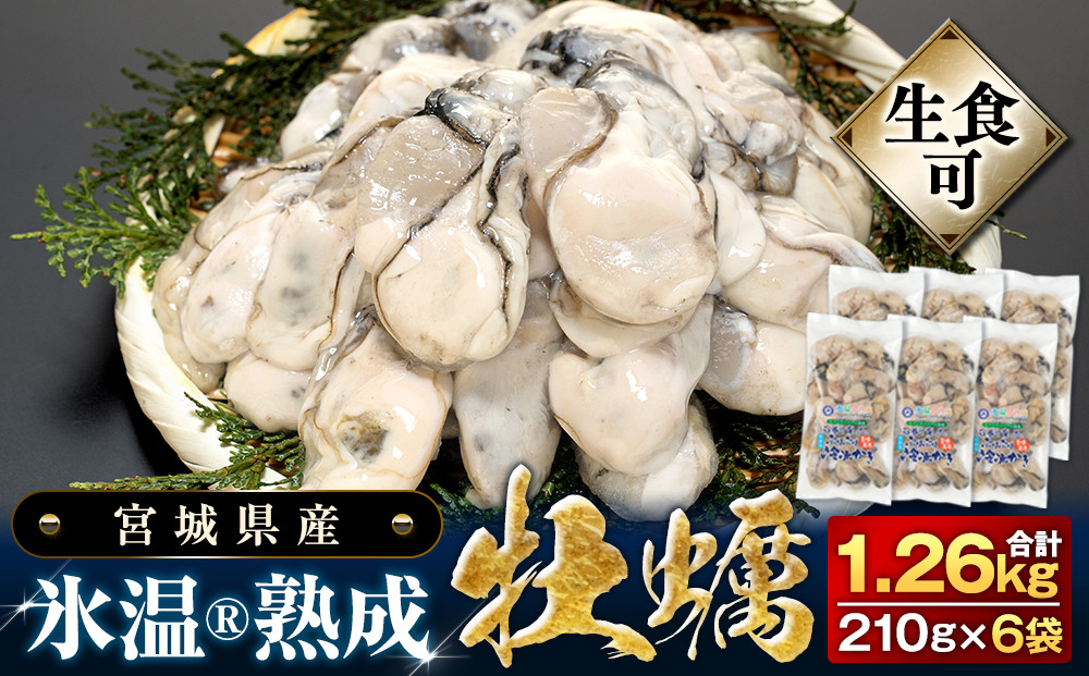 
            【 先行予約 】 生食用 牡蠣 宮城県産 氷温熟成 （冷凍）210g×6袋 約1.2kg / 小分け 冷凍 バラバラ冷凍  かき 牡蠣 2025年3月中旬から順次発送予定
          