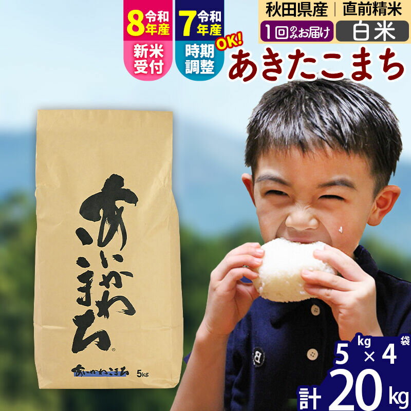 【ふるさと納税】※令和7年産／R8産新米予約※ 秋田県産 あきたこまち 20kg【白米】(5kg小分け袋)【1回のみお届け】2025年産 2026年産 令和8年産 お届け時期選べる お米 藤岡農産 [藤岡農産 秋田 お米 あきたこまち 米どころ 東北]