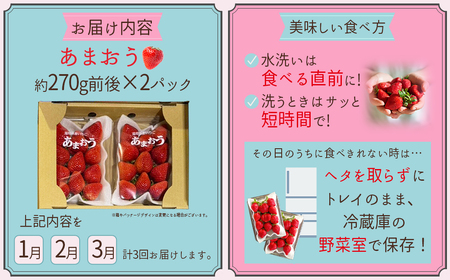 【 あまおう 定期便 全3回】福岡県産あまおう 約270g 前後 ×２パック いちご イチゴ あまおう 福岡限定 ブランド 果物 フルーツ ストロべリー スイーツ ケーキ パフェ スムージー ジャム 