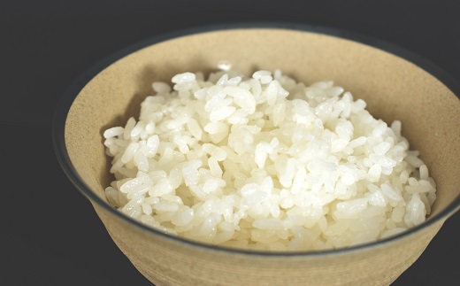 京丹波の清流育ち長老米 6kg（2kg×3袋） 小分けタイプ 京都 京丹波町産 米 コシヒカリ 栽培地域限定 ※北海道・沖縄・その他離島は配送不可