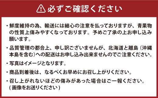 【2022年9月～11月上旬まで発送】 産地直送！福岡県オリジナル品種 極早生みかん『早味かん』 約5kg みかん