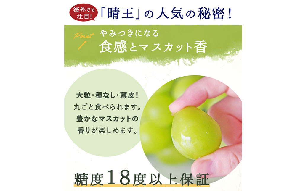 シャインマスカット晴王 3房～5房 約2kg