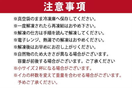 『先行予約』唐津呼子産いか活造り 1杯(約350g前後) 急速冷凍 新鮮そのまま食卓へ！イカ 刺身 簡単 ギフト ※水揚げあり次第6月以降順次発送させていただきます。