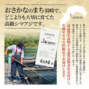 【 シマアジ 】 シマアジ美粕祇万2人前
