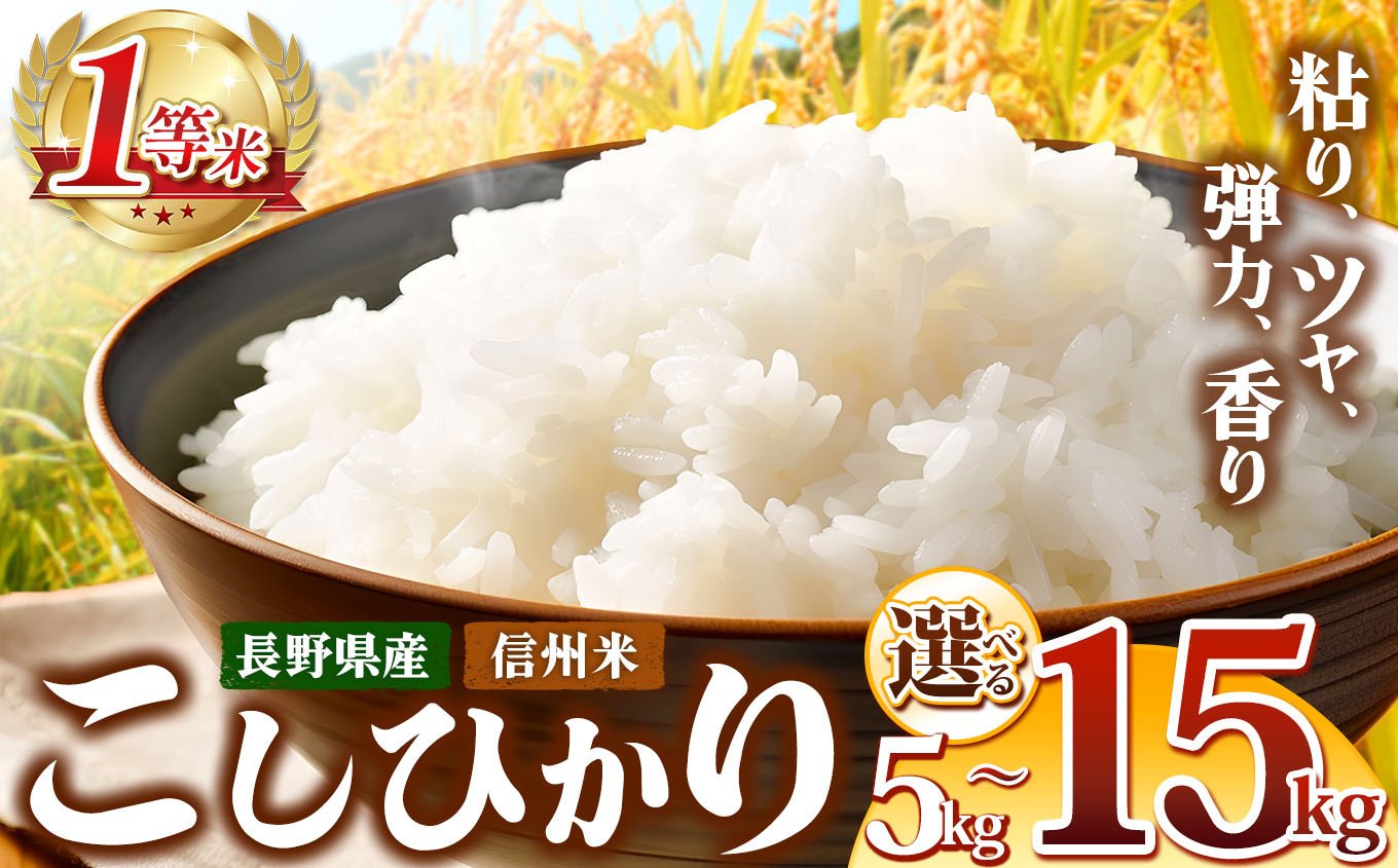 
            信州米 こしひかり 白米 選べる内容量 5kg ～ 15kg 長野県産 | 米 コシヒカリ 白米 精米 お米 信州米 5kg 10kg 15kg 特産品 塩尻市 長野県 信州 
          